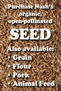 Purchase Seeds, Grain, and Flour online