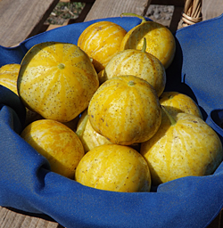 lemon-cukes