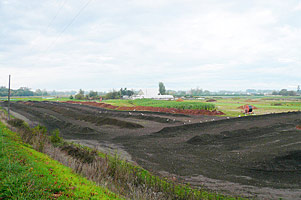 Organic Compost