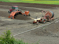 Organic Compost