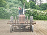 Planting carrots on east Delta Farm