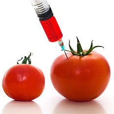 Genetically Modified Organisms (GMOs)