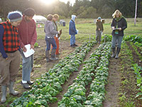 Growing Seed at Nash's