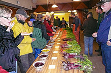 Northern Organic Vegetable Improvement Collaborative - NOVIC