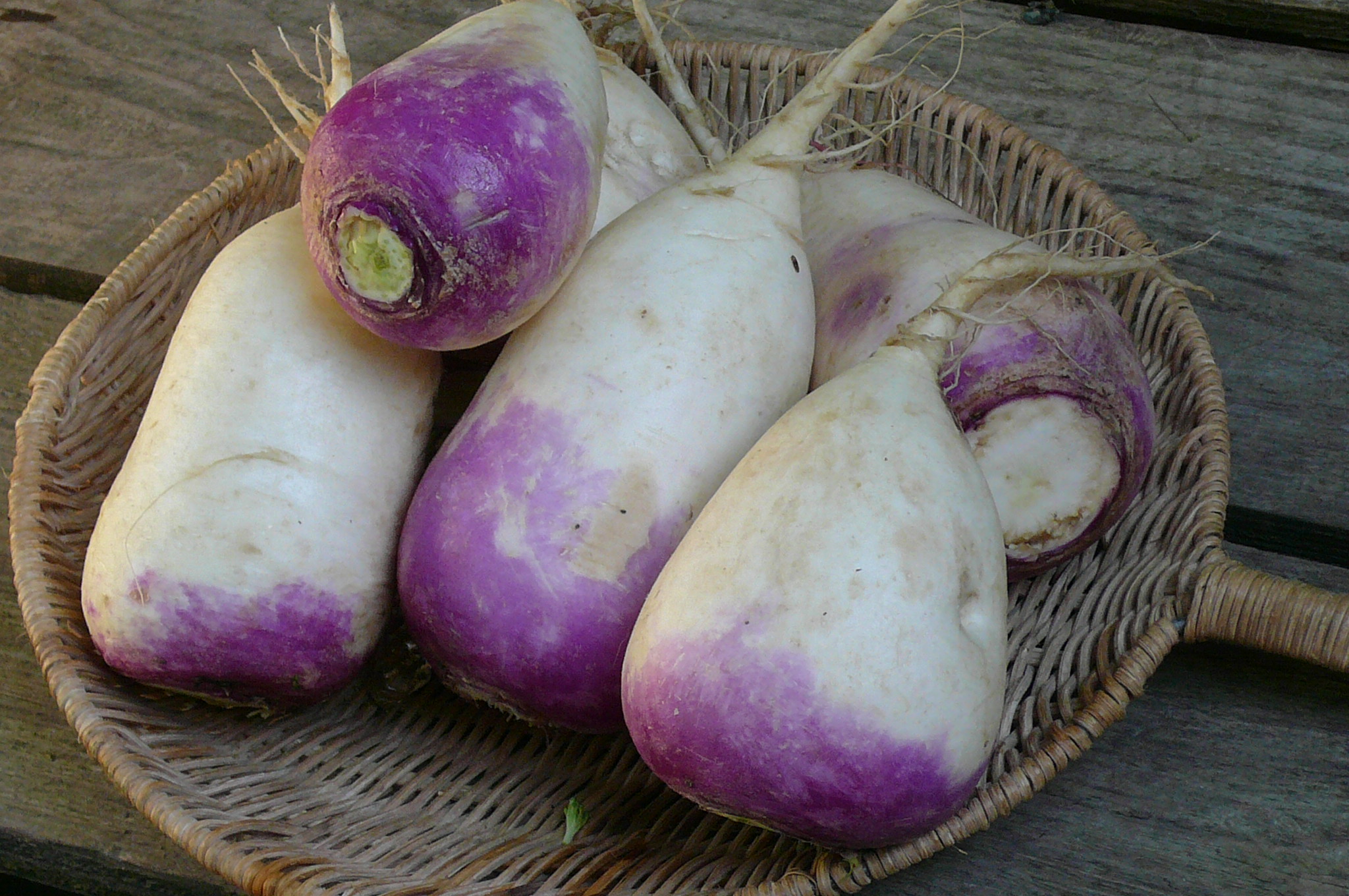 Purple Top Turnips Recipes From Nash S Organic Produce