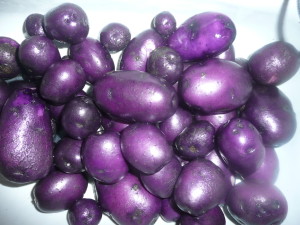 purple potatoes