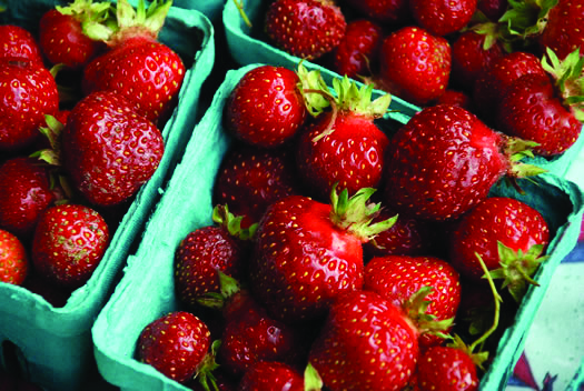 strawberries in pints