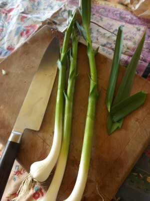 green garlic, chopped