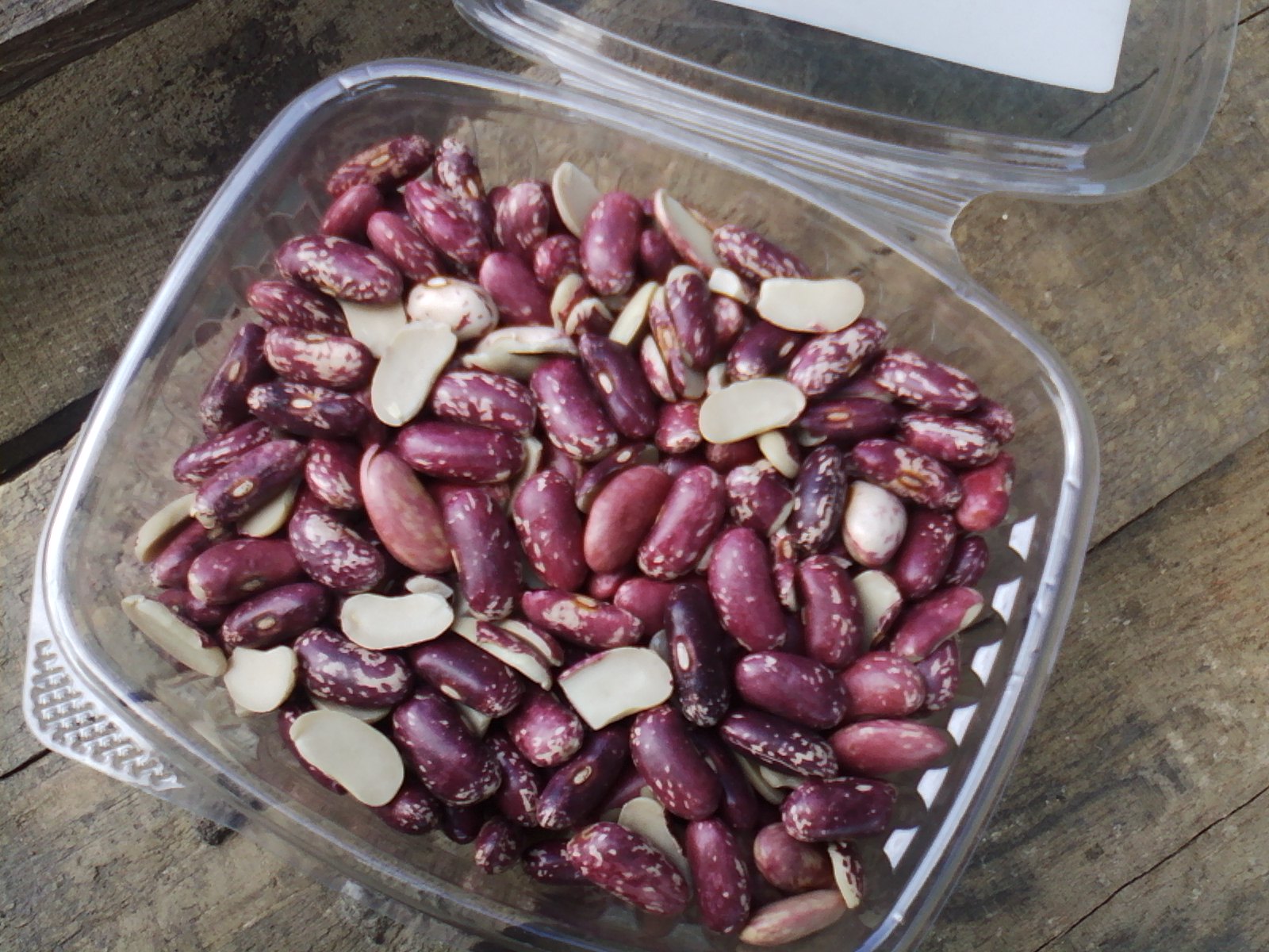kidney-beans-recipes-from-nash-s-organic-produce