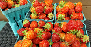 Strawberries in pints 2014
