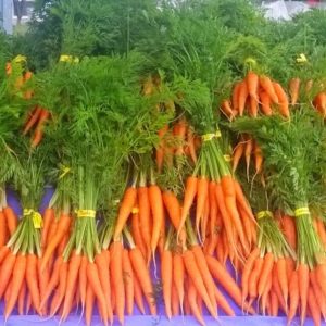 Bunch carrots