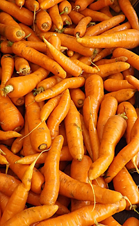 Bulk carrots