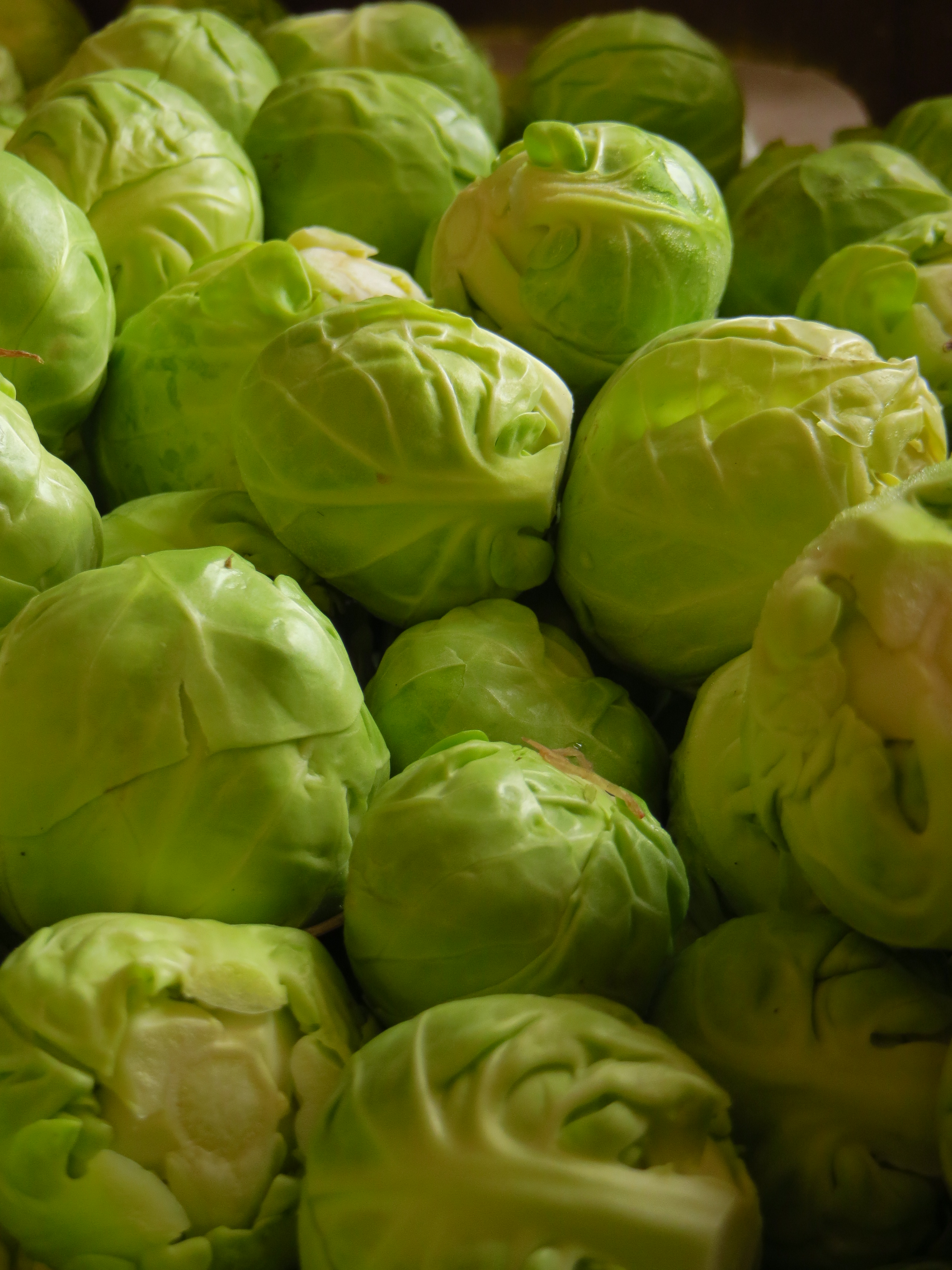 Brussels Sprouts close-up