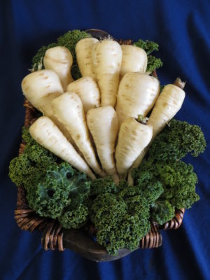 Parsnips on a bed of kale