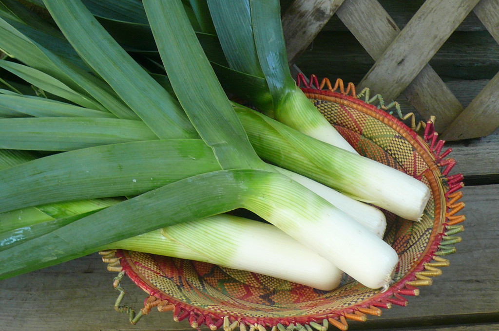 Grilled Leeks | Recipes from Nash's Organic Produce